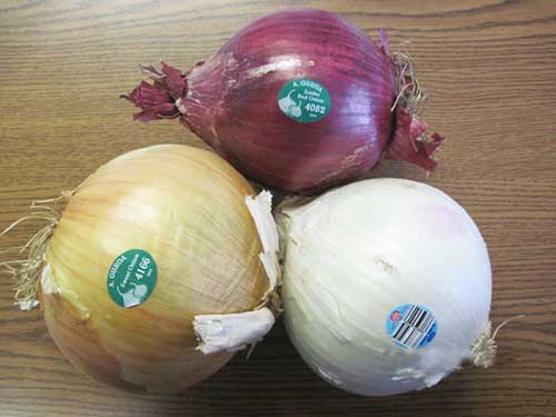 A-Gurda-Produce-Onion-Trio
