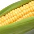 A-Gurda-Produce-Corn