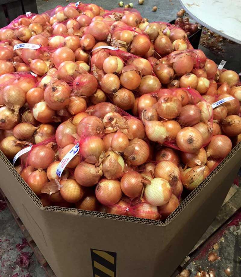 AGurdaProduceWholesaleOnions